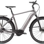 Giant DailyTour E+ 1 2019 - Electric Hybrid Bike