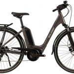Raleigh Motus Derailleur Lowstep 2021 - Electric Hybrid Bike