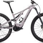 Specialized Levo 29" 2021 - Electric Mountain Bike
