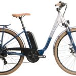 Raleigh Array E-Motion Low Step