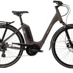 Raleigh Motus Derailleur Lowstep 2021 - Electric Hybrid Bike