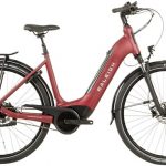 Raleigh Motus Tour Low Step Hub