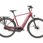 Raleigh Motus Tour Crossbar Hub