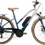 Raleigh Array Open Frame - Nearly New -  S (40cm)