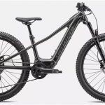 Specialized Levo SL HT 24w