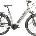 Raleigh Centros Low Step Hub