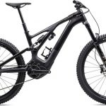 Specialized Levo Expert Carbon