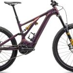 Specialized Levo Alloy LTD