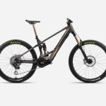 Orbea Wild M-LTD