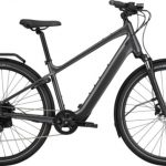 Cannondale Mavaro Neo SL 1