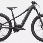Specialized Levo SL HT 24w